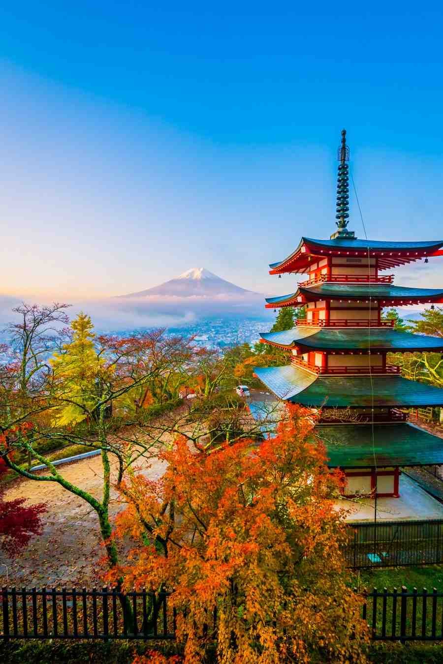 Find exclusive international ticket deals for budget-friendly travel.